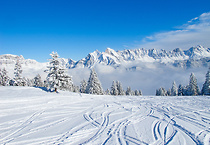 Zawody na stoku Ski Arena Szrenica